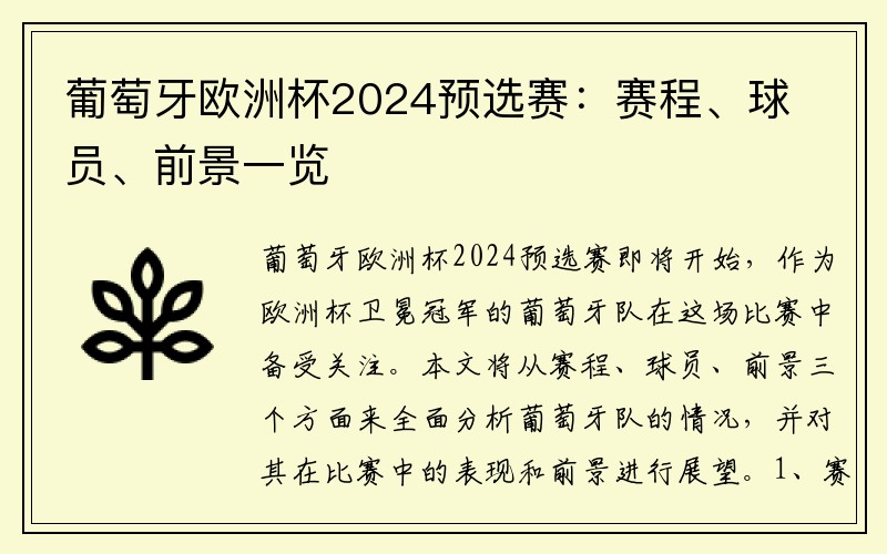 葡萄牙欧洲杯2024预选赛：赛程、球员、前景一览