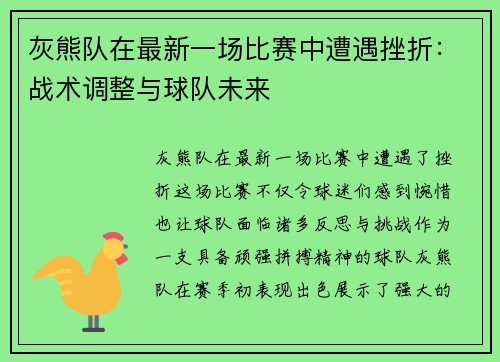 灰熊队在最新一场比赛中遭遇挫折：战术调整与球队未来